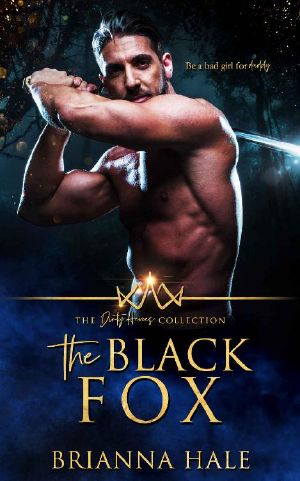 [The Dirty Heroes Collection 01] • The Black Fox